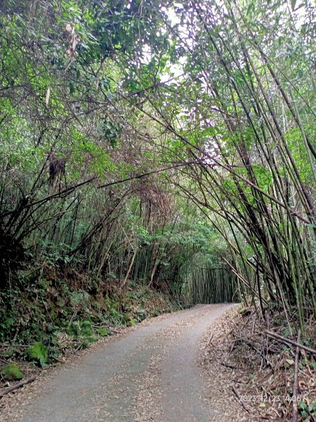四訪苗栗的花果山-小百岳#037馬那邦山、雪霸國家公園管理處【小百岳集起來、苗栗-臺灣百大必訪步道】2394376