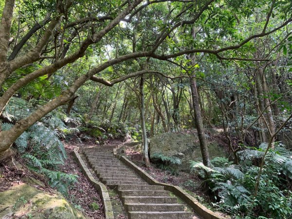 大崙頭尾山親山步道2767173