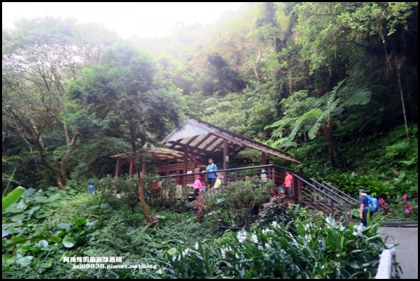 宜蘭礁溪。抹茶山聖母登山步道｜走到軟腿的1189165