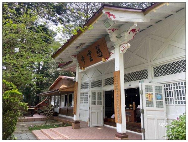 阿里山慈雲寺の紫藤2782138