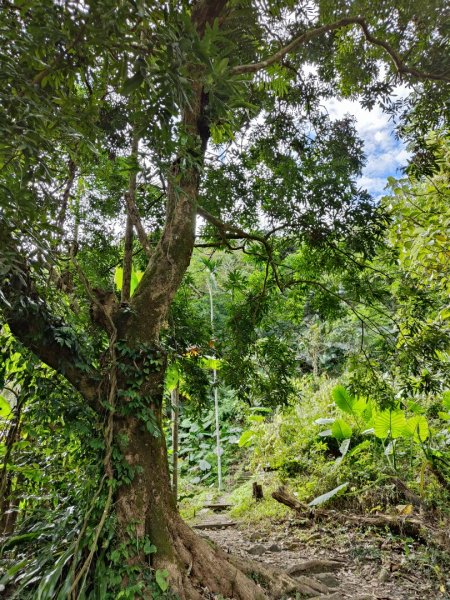 2023.12.30 獨立山2840287