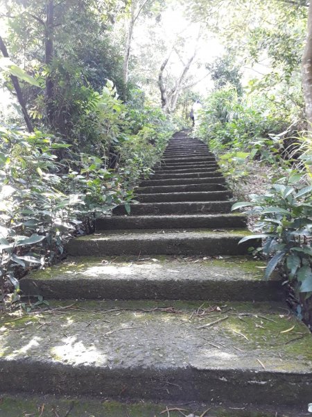 彰化員林臥龍坡環藤山步道20190714629497