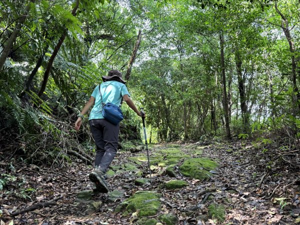 新山夢湖 小O繞 2025/05/302811050