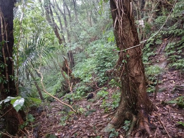 平溪區平溪子山遇雷雨O型2850155