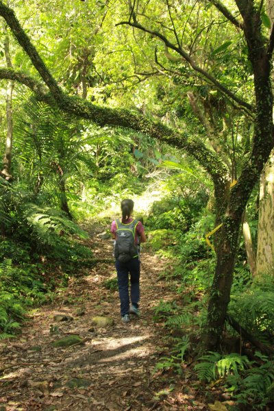 淡蘭古道北路坐山望海1253910