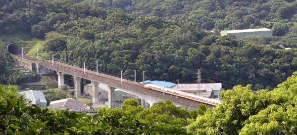 2025/08/03_羊稠森林步道2850665