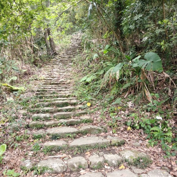 獨立山國家步道895019