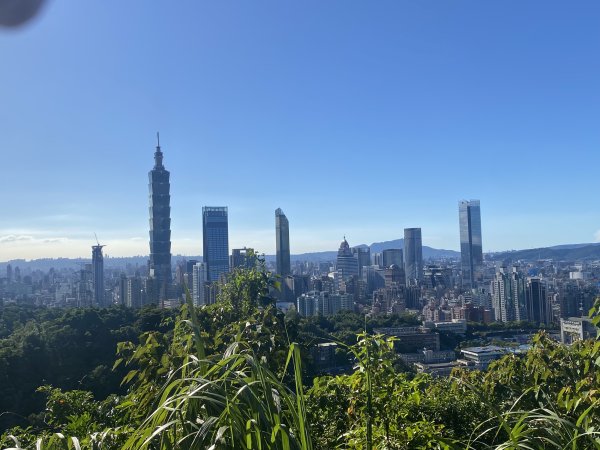 【四獸山 Short】虎豹象先行！獅山封閉中，等新步道開箱再相見2888815