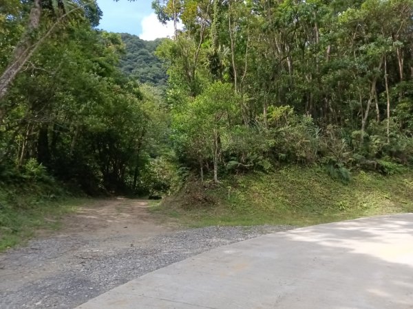 雙溪區大埤古道左線+柑腳山+570峰+大埤格+大埤古道右線O型2828779