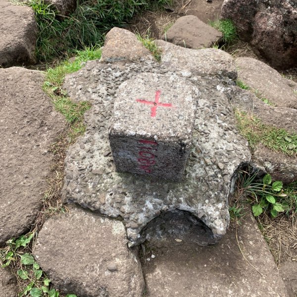 七星山主峰、東峰3124761