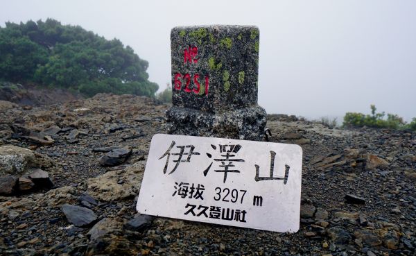 風雨中的大小霸394490