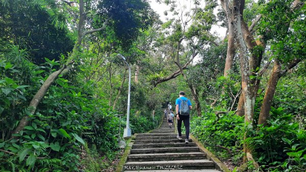 《台北》城市晨運｜虎山親山自然步道（松山慈惠堂）202505222795760