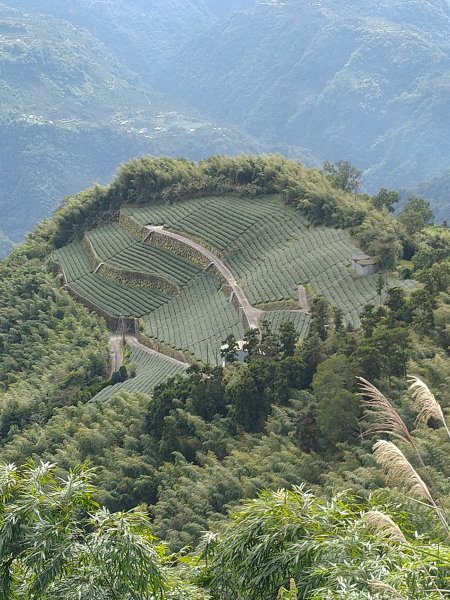 2020-2021 後棟仔 大尖山 二尖山1527159