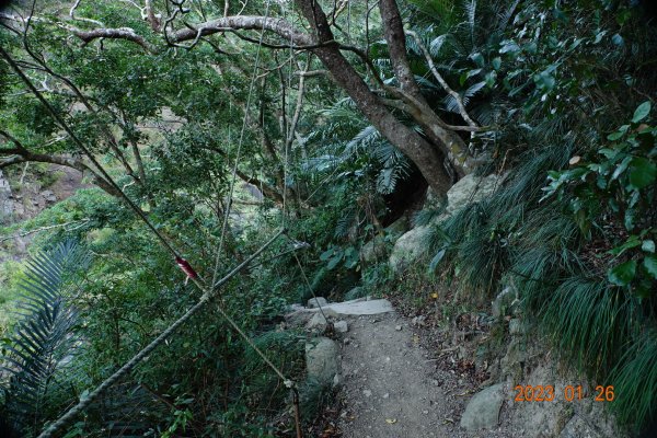 屏東 獅子鄉 里龍山(里隆山、里瀧山、鯉龍山)、下里龍山2018476