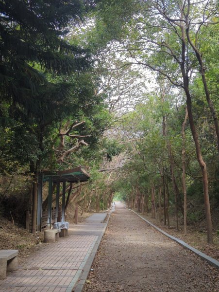 2023.12.03－漫步舊鐵路步道(崎頂子母隧道)2371023