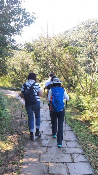 09.草嶺古道依舊466710