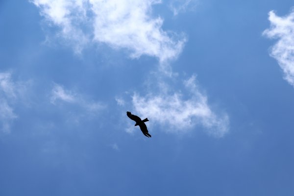 HK - 西高山1020861