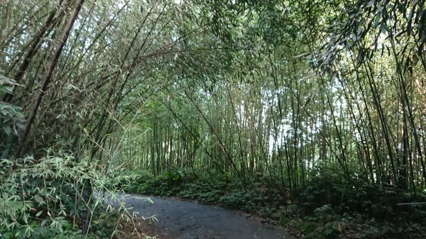 馬拉邦山上湖登山口O型走1069015