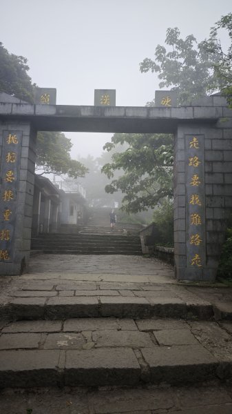 2025-0505 觀音山土路追桐花+牛港稜步道2781385