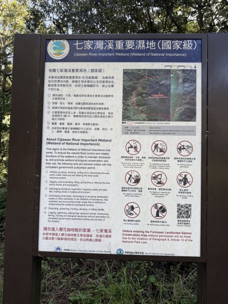 1141108-09桃山單攻2936023
