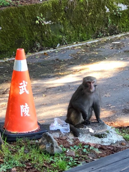 20181201 池品兩日遊473621