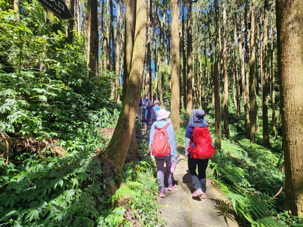 20251004雲頂之丘番子田山2927198