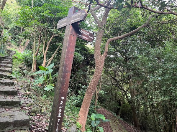 [走遍陽明山]2023_0625_中正山步道2207567