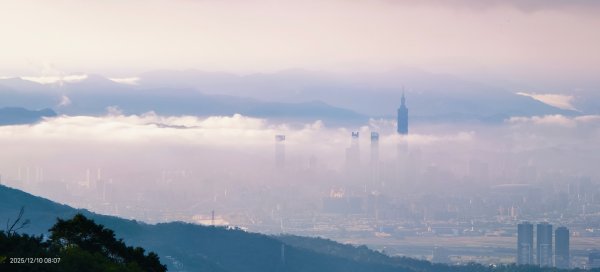 陽明山趴趴走 12/102958583