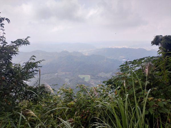 關西赤科山-赤科山南峰-東獅頭山O形1621499