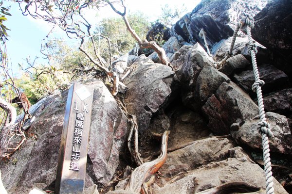 鳶嘴、稍來山O環-飛越岩稜 赴約紅葉 !787219