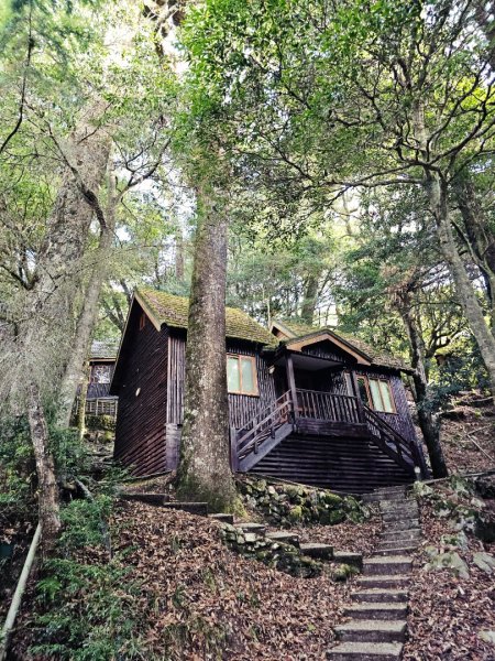 大雪山森林遊樂區森林浴步道2966034