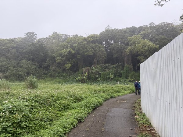 [樟之細路_第一大段RSA02] 2026_0329 林埤古道3026891