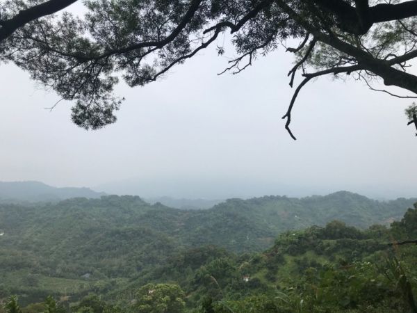 新田山登山步道、聚興山-20180723370840