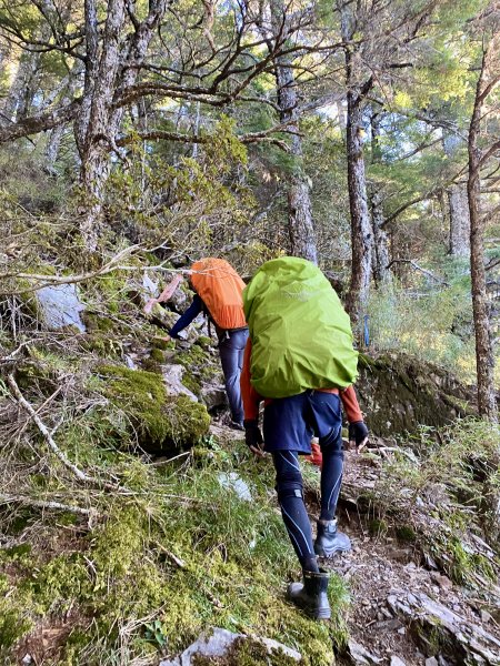 奇萊東稜翻山越嶺的淚與笑D3 2022/10/1—鐵線斷崖前營地至太魯閣北鞍營地1870729