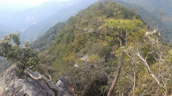 鳶嘴山、稍來山縱走107174