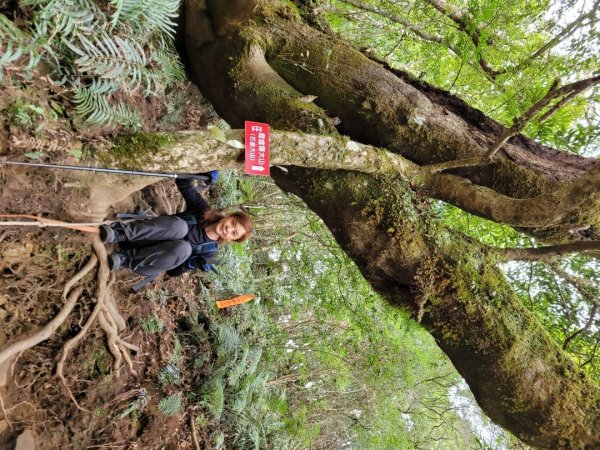 霞喀羅古道全段順登石鹿大山1291730