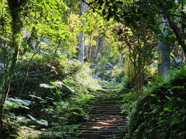 小百岳No.19⛰福德坑山(鳶山)2739692