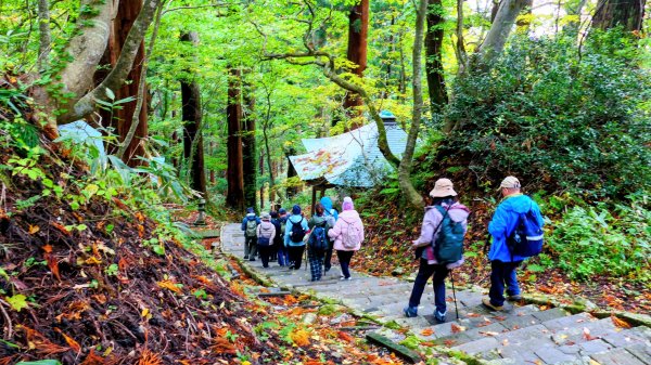 山形縣羽黑山神社2929693