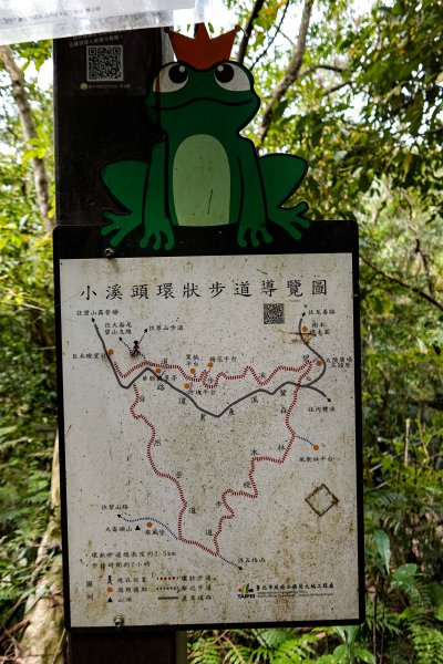 大崙頭尾山｜小百岳2756491