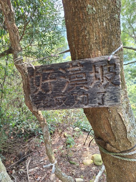 田中大小劍+小奇萊+三叉無名山O型202504032751402