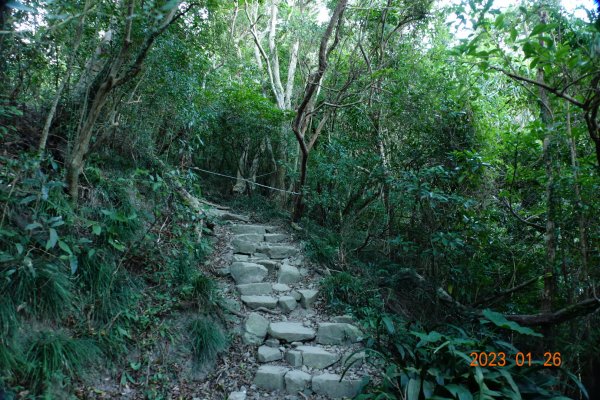 屏東 獅子鄉 里龍山(里隆山、里瀧山、鯉龍山)、下里龍山2018513