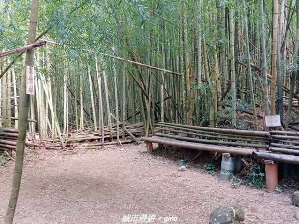 【台中和平】山林野餐。長壽山(肥崠山)山徑2969446