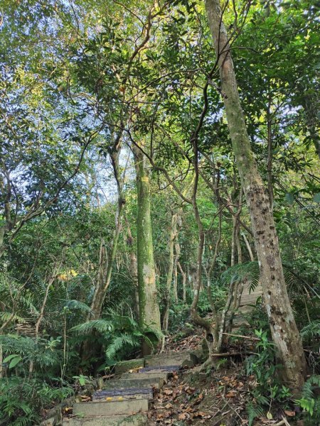 2023.12.14 土城天上山2827269