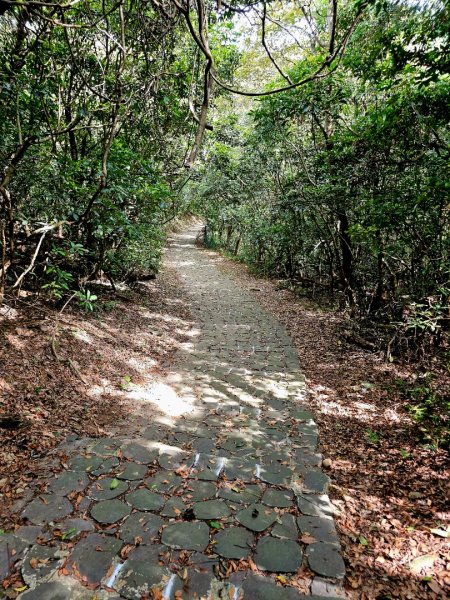 漢卿步道/秀才步道-2025森遊竹縣皮皮獅探險隊2890072