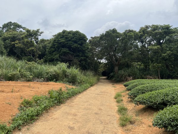 [皮皮獅探險隊-05/10] 2025_0706 石光古道2831851