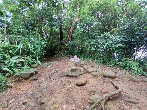 【新竹芎林】台灣百大必訪步道。 飛鳳山、觀日坪古道O繞2564341