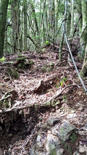 20230622 苗栗-雪見 東洗水山及北坑山 走走2192996