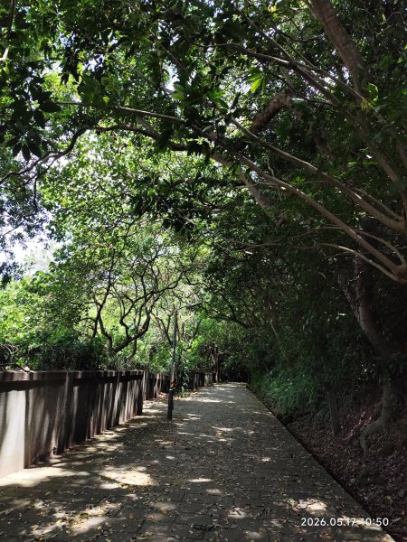 劍潭山、森林方舟、微風平台、圓山水神社、劍潭公園、八二三砲戰紀念公園3065998