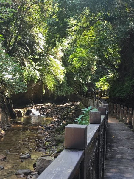 獅山古道3117392