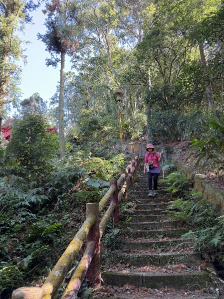 鳴鳳山-錫隘古道大O繞-202601252991416